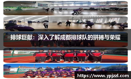 排球巨献：深入了解成都排球队的拼搏与荣耀