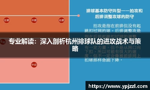 专业解读：深入剖析杭州排球队的进攻战术与策略