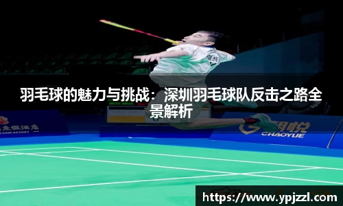 羽毛球的魅力与挑战：深圳羽毛球队反击之路全景解析